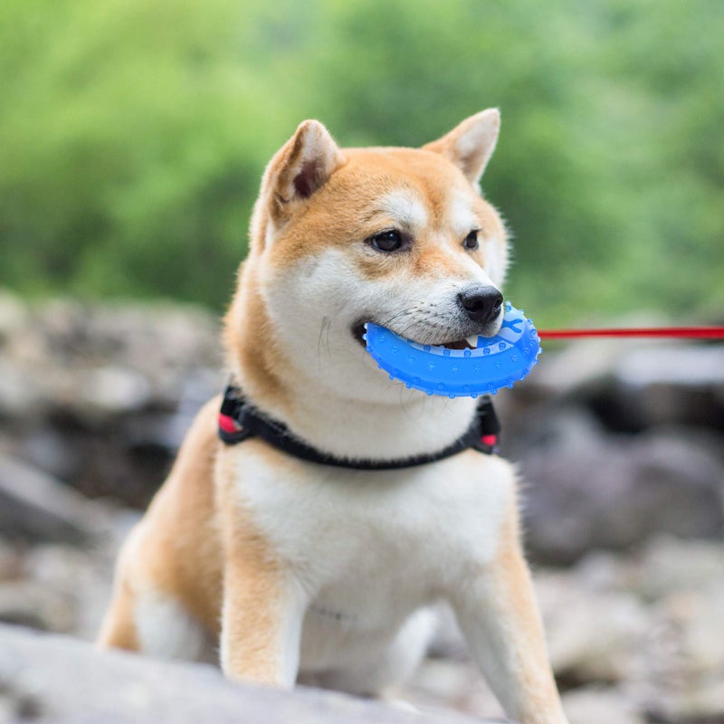 NWK Pet Teether Cooling Chew Toy for Dogs Teething Toy for Puppies, Fit with Treats for More Fun (Chewing Ring) - Image 2